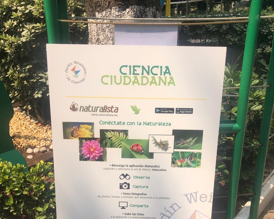 Ciencia Ciudadana