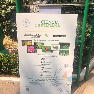 Instituto Weizmann de Ciências – planteia